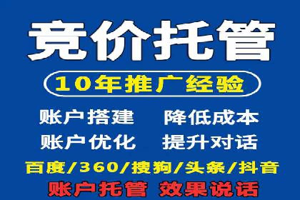 某电商平台的SEM服务全解析